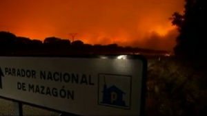 Най малко 1500 души са евакуирани заради мащабен горски пожар в