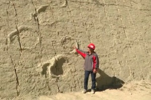 100 метровата Стена на динозаврите в Боливия ще кандидатства за статут