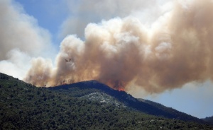 Стотици декари горят в Южна България. Полицията и пожарната подозират 45-годишен