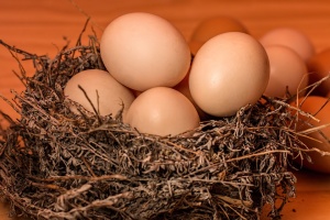 Няма данни за яйца заразени с фипронил  на българския пазар Засега