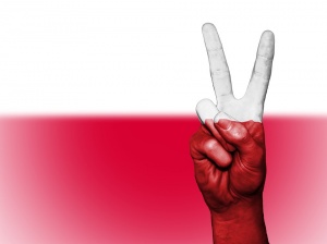 Полша трябва да поиска изплащане на репарации не само от Германия но