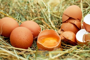 Скандалът с яйцата замърсени с фипронил е засегнал общо 40