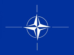 Членките на НАТО сами решават какво оборудване да купуват. Това