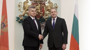 Търговският обмен между България и Черна гора е 15 млн.