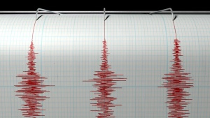 Земетресение от 5,3 по Рихтер беше регистрирано в южната част