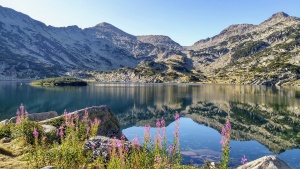 Коалицията За да остане природа в България ще внесе по