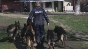 Тази година специално обучени кучета ще помагат на полицаите да