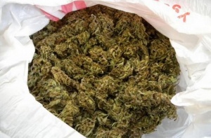 Полски гражданин превозвал над 10 кг марихуана е задържан в