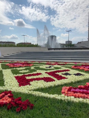 Килим от рози украси пространството пред Националния дворец на културата