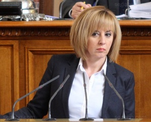 Омбудсманът Мая Манолова ще изпрати писмо с апел към председателя