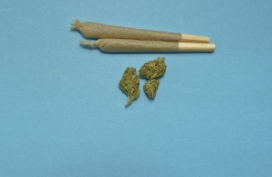 Канадският Сенат одобри законопроект който легализира употребата на марихуана за