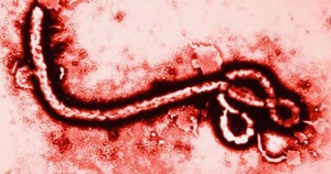 Нова вълна от зараза с вируса Ебола в Демократична република