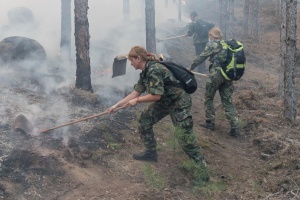 Пожарът над Карлово е загасен, но продължават да горят борови
