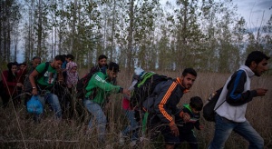 Турските сили за сигурност задържаха този уикенд 226 нелегални мигранти в различни