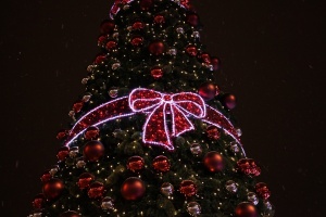 С богата празнична програма бяха запалени светлините на Коледната елха
