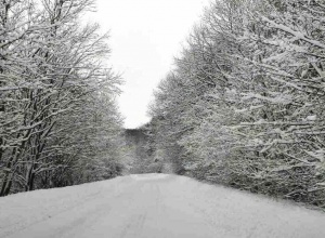 Проходът Превала остава затворен за движение заради снегопочистване информират от