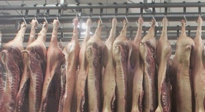Скандал със заразено месо разтресе Полша предаде Би Би Си