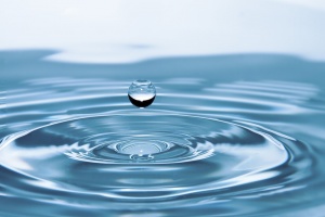 Отбелязваме Световния ден на водата. Темата през 2019 г. е