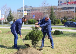 Над 60 дръвчета закупиха и засадиха членове на ГЕРБ в