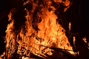 41 пожара са горели през почивните дни в област Кюстендил