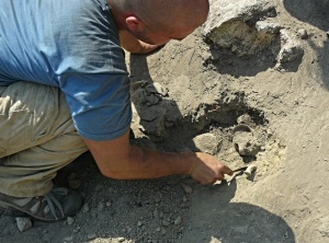 От 1 април започват археологически проучвания в над 40 обекта