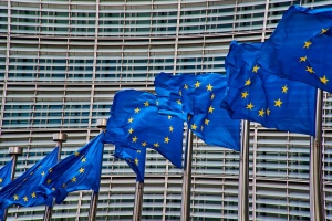 Говорителят на Европейската комисия Мина Андреева заяви че Комисията наблюдава