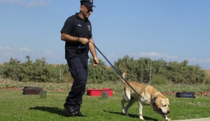 Полицейско куче е надушило следи от 43 годишния Стоян Зайков който