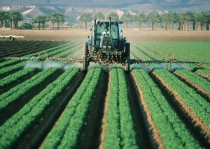 Освободената от пестициди земя на Италия започва с територията на