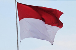 Индонезия която е най големият производител на палмово масло смята да