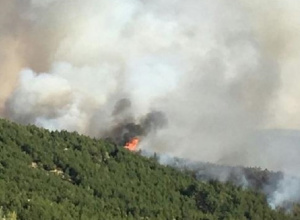 Голям пожар бушува на гръцкия остров Елафонисос, съобщават местните медии.