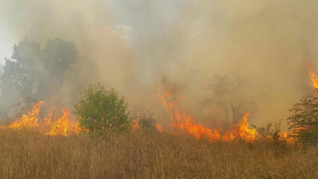 Пожар пламна днес в района на Сухото езеро над Кирилова