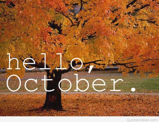 1 октомври е ден, изпълнен с празници. Днес отбелязваме Световният