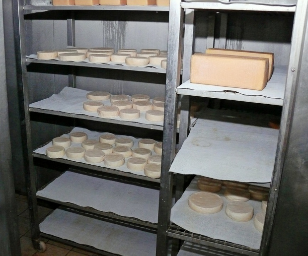 Почти всяка шеста бучка сирене произведена у нас за първите