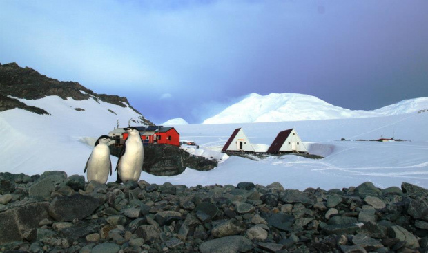 Глобалното затопляне е причина за най горещия ден в аржентинската Антарктида
