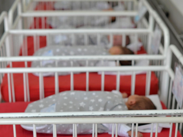 Над 4600 бебета се родиха от началото на годината в