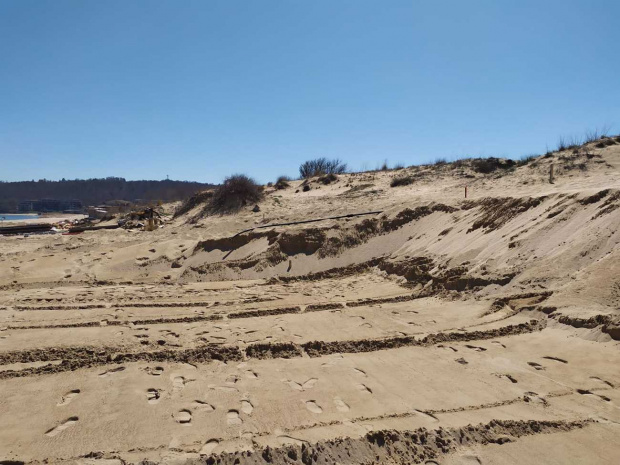 Няма унищожени дюни на плаж Смокините в Созопол както разтревожено