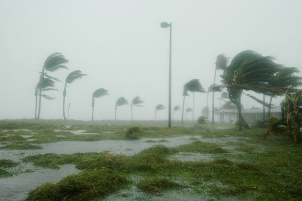 Заради опустошителния ураган Айда вече над 1 милион души в