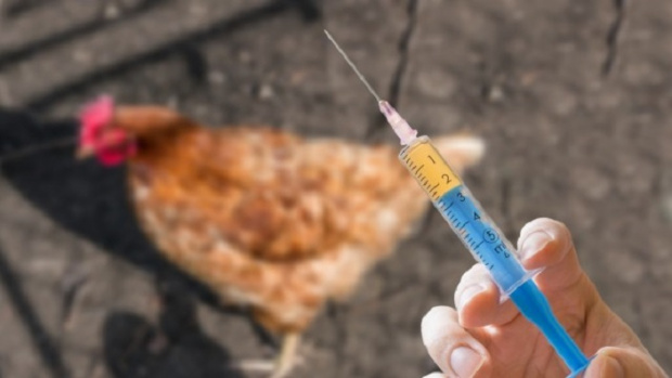 Франция повиши нивото на предупреждение за птичи грип след като във