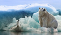 ООН потвърди нов температурен рекорд за Арктика