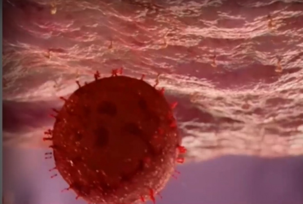 Новият вариант на коронавируса Омикрон се разпространява по света с