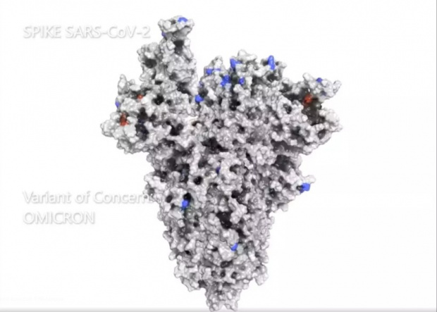 Суперкомпютри разработиха 3D модел на структурата на новия вариант на коронавируса – Омикрон Триизмерната