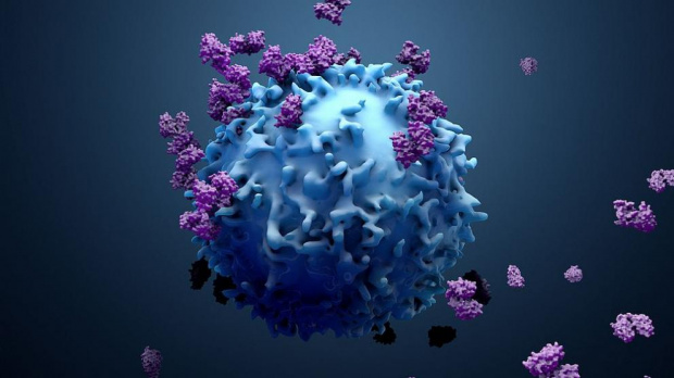 Силно заразният вариант Омикрон на вируса SARS CoV 2 чиято най разпространена форма е известна