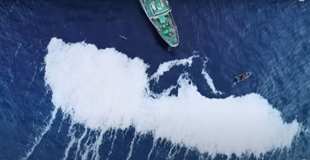 еправителствената организация Sea Shepherd разпространи кадри от дрон на които