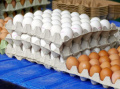 НАП наблюдава фирмите производители и търговци на яйца и агнешко месо