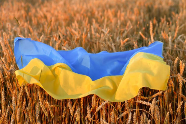 Руските сили са откраднали няколкостотин хиляди тона зърно в районите в