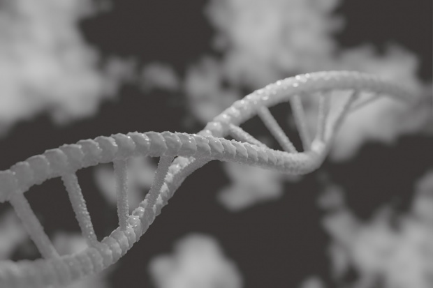 Човешките ДНК са извънземни