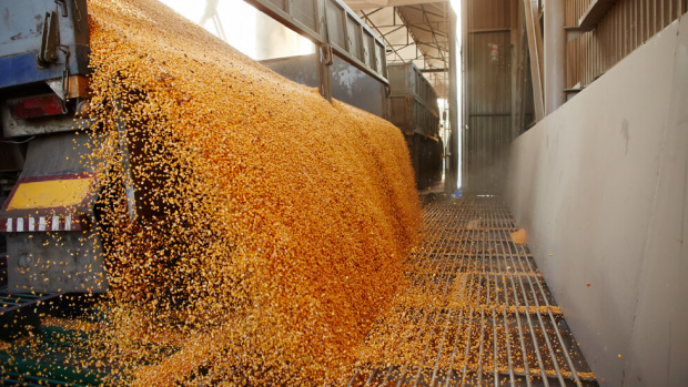 Износът на зърно от Украйна по море в момента е