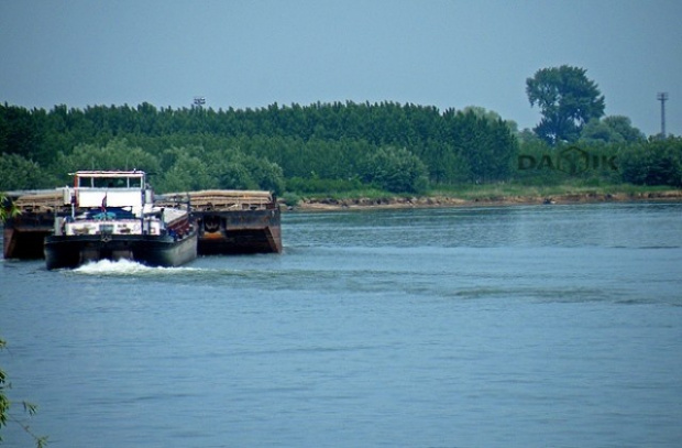 Снимка: Нивото на река Дунав продължава да пада, положението е сериозно