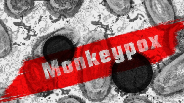 Световната здравна организация обяви маймунската шарка за глобална опасност за