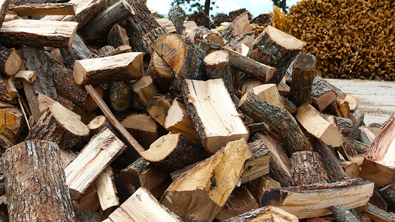 Тепърва ще има все повече търсене на дървесина за качествени